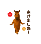 踊る！馬！お正月スタンプ（個別スタンプ：9）