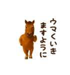 踊る！馬！お正月スタンプ（個別スタンプ：19）