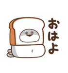 デブバンバスピス（おデブな正月2026）（個別スタンプ：37）