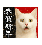 猫のあけおめスタンプ（個別スタンプ：6）