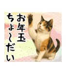 猫のあけおめスタンプ（個別スタンプ：9）