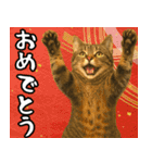 猫のあけおめスタンプ（個別スタンプ：11）