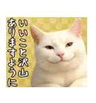 猫のあけおめスタンプ（個別スタンプ：12）