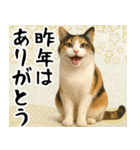 猫のあけおめスタンプ（個別スタンプ：13）