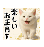 猫のあけおめスタンプ（個別スタンプ：22）