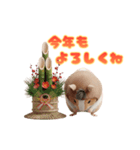 ハムウマくんのウマくいく新年スタンプ（個別スタンプ：6）