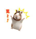 ハムウマくんのウマくいく新年スタンプ（個別スタンプ：14）