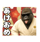 グラサンゴリラのあけおめスタンプ（個別スタンプ：1）