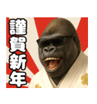 グラサンゴリラのあけおめスタンプ（個別スタンプ：5）