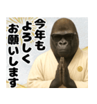 グラサンゴリラのあけおめスタンプ（個別スタンプ：6）