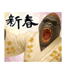 グラサンゴリラのあけおめスタンプ（個別スタンプ：8）