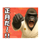 グラサンゴリラのあけおめスタンプ（個別スタンプ：12）