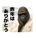 グラサンゴリラのあけおめスタンプ（個別スタンプ：14）