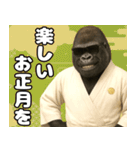 グラサンゴリラのあけおめスタンプ（個別スタンプ：22）