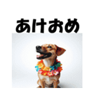 十二支全部 あけおめ 年賀状 ハワイ（個別スタンプ：37）