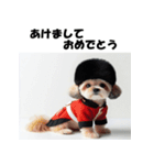 十二支全部 あけおめ 年賀状 イギリス（個別スタンプ：37）