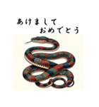 十二支全部 あけおめ 年賀状 錦絵（個別スタンプ：19）