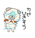 【あけおめ】パグ犬のぱーちゃん90（個別スタンプ：19）