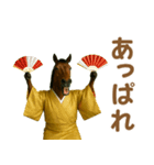 ダラダラ馬のお正月2026（個別スタンプ：13）