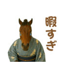 ダラダラ馬のお正月2026（個別スタンプ：23）