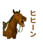ダラダラ馬のお正月2026（個別スタンプ：32）