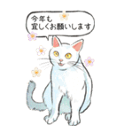 ねこのお正月BIGスタンプ〜新年のご挨拶〜（個別スタンプ：13）