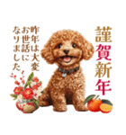 トイプードルの上品な年末年始のご挨拶（個別スタンプ：5）