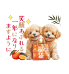 トイプードルの上品な年末年始のご挨拶（個別スタンプ：12）