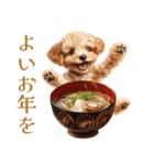 トイプードルの上品な年末年始のご挨拶（個別スタンプ：18）