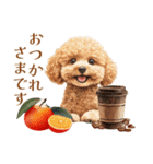 トイプードルの上品な年末年始のご挨拶（個別スタンプ：24）
