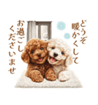 トイプードルの上品な年末年始のご挨拶（個別スタンプ：35）
