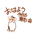 和風猫＜年末年始 午年＞（個別スタンプ：25）