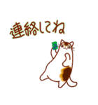 和風猫＜年末年始 午年＞（個別スタンプ：35）