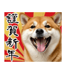 柴犬のあけおめスタンプ 年末年始（個別スタンプ：2）