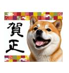 柴犬のあけおめスタンプ 年末年始（個別スタンプ：4）