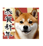 柴犬のあけおめスタンプ 年末年始（個別スタンプ：5）