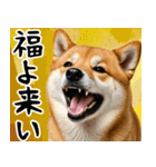 柴犬のあけおめスタンプ 年末年始（個別スタンプ：6）