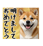 柴犬のあけおめスタンプ 年末年始（個別スタンプ：9）