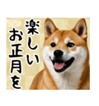 柴犬のあけおめスタンプ 年末年始（個別スタンプ：11）