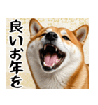 柴犬のあけおめスタンプ 年末年始（個別スタンプ：12）