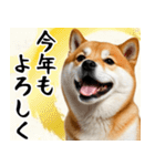柴犬のあけおめスタンプ 年末年始（個別スタンプ：13）