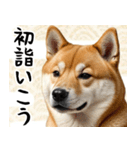 柴犬のあけおめスタンプ 年末年始（個別スタンプ：17）