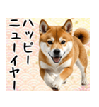 柴犬のあけおめスタンプ 年末年始（個別スタンプ：21）