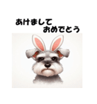 十二支全部 年賀 ミニチュアシュナウザー（個別スタンプ：11）