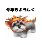 十二支全部 年賀 ミニチュアシュナウザー（個別スタンプ：16）