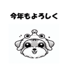 十二支全部 年賀 ミニチュアシュナウザー（個別スタンプ：19）