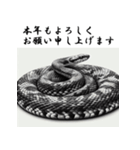 十二支全部 あけおめ 年賀状 インク画（個別スタンプ：17）