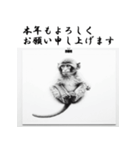 十二支全部 あけおめ 年賀状 インク画（個別スタンプ：27）