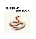 十二支全部 あけおめ 年賀状 フラット（個別スタンプ：19）