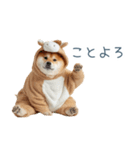 2026正月馬しば犬【元旦・かわいい】（個別スタンプ：2）